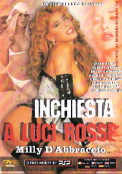 Inchiesta a Luci Rosse