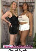 Interracial shemales Chanel and Jade intense blowjob anal fucking cumshot