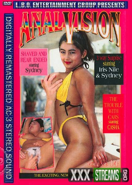 Anal Vision 14 (1994DVDRip) Bouche, Dvdrip, Facial