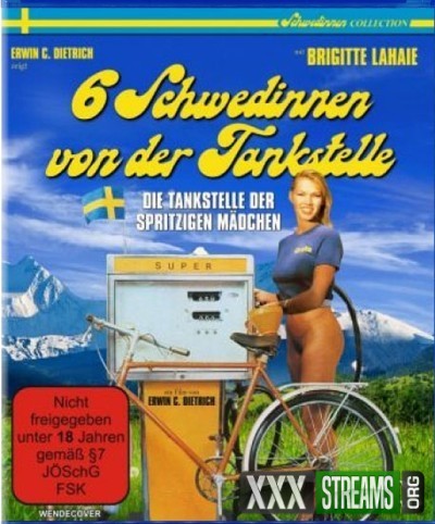 6 Schwedinnen Von Der Tankstelle Full Movies
